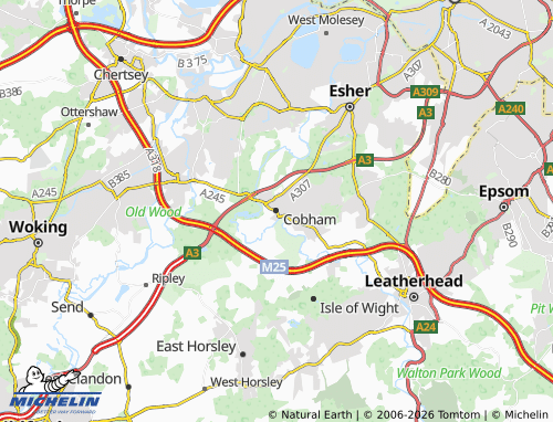 Mappa MICHELIN Cobham - ViaMichelin