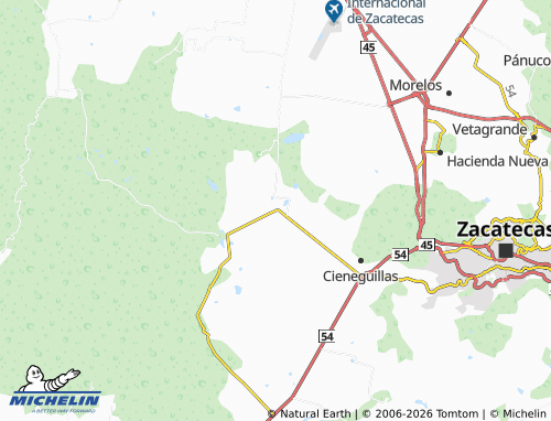 Mappa MICHELIN Francisco I Madero - ViaMichelin