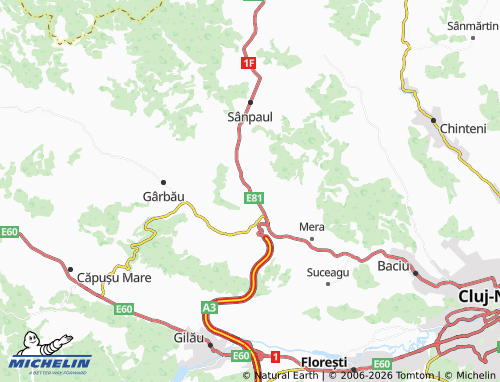 Mappa MICHELIN Nădășelu - ViaMichelin