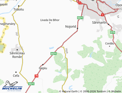 Mappa MICHELIN Leș - ViaMichelin