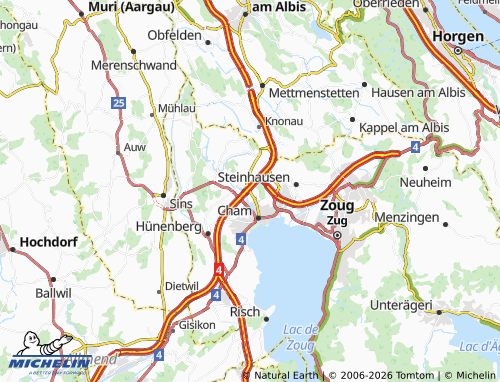 Mapa MICHELIN Eizmoos - ViaMichelin