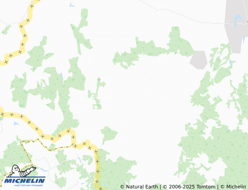 MICHELIN Zverovichi map - ViaMichelin