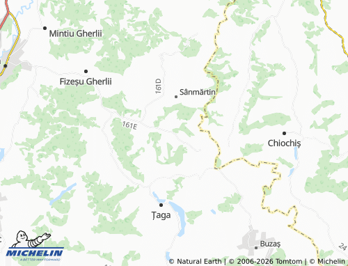 MICHELIN Diviciorii Mari map - ViaMichelin