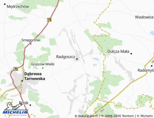 MICHELIN Radgoszcz map - ViaMichelin