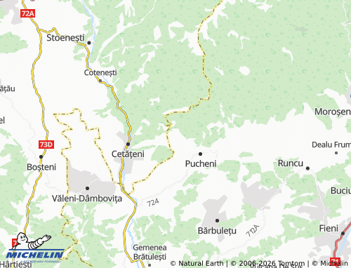 Mappa MICHELIN Meișoare - ViaMichelin