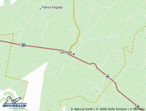 MICHELIN Salinas de Hidalgo map - ViaMichelin