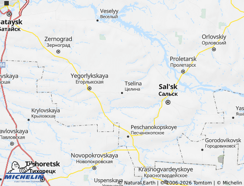 Carte MICHELIN Tselinskiy rayon - ViaMichelin