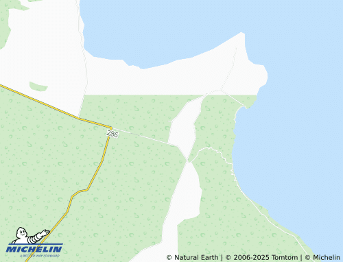 MICHELIN San Pedro México map - ViaMichelin