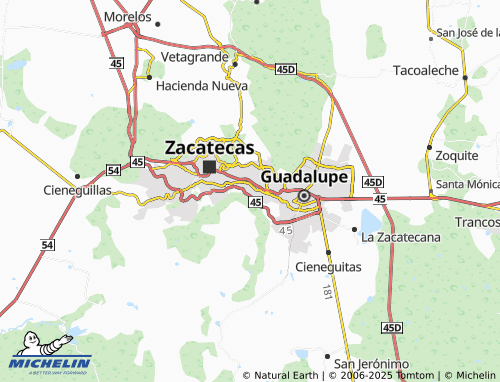 MICHELIN Médicos Veterinarios map - ViaMichelin