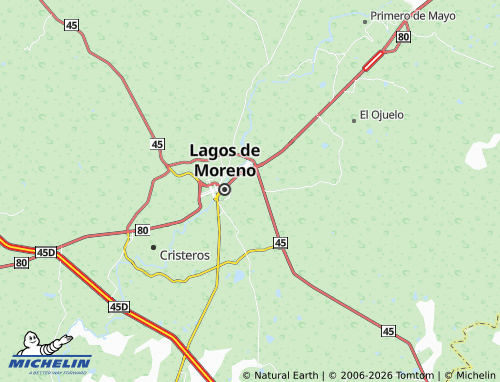 Kaart MICHELIN Fraccionamiento Valle Real - ViaMichelin