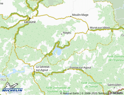 MICHELIN-Landkarte Rieu-Montagne - ViaMichelin