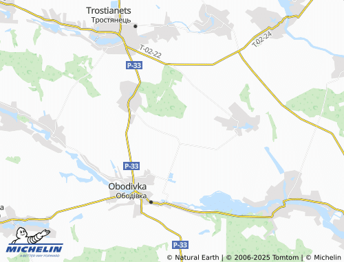 MICHELIN Dubyna map - ViaMichelin