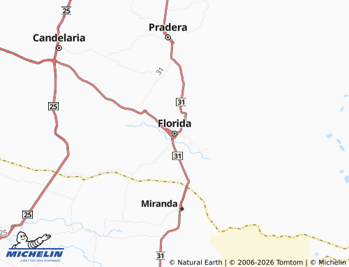 MICHELIN Florida map - ViaMichelin
