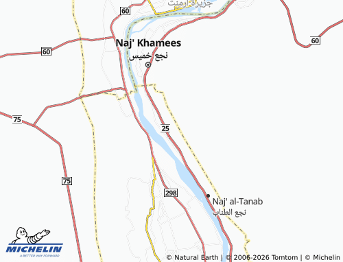 Mappa MICHELIN al-Diyabiyyah - ViaMichelin
