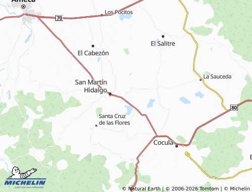 Mappa MICHELIN El Tepehuaje de Morelos - ViaMichelin
