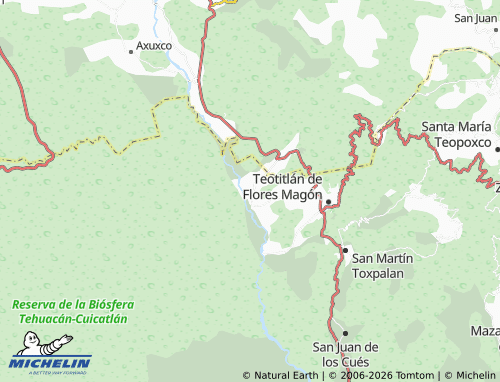 Mappa MICHELIN San Antonio Nanahuatípam - ViaMichelin