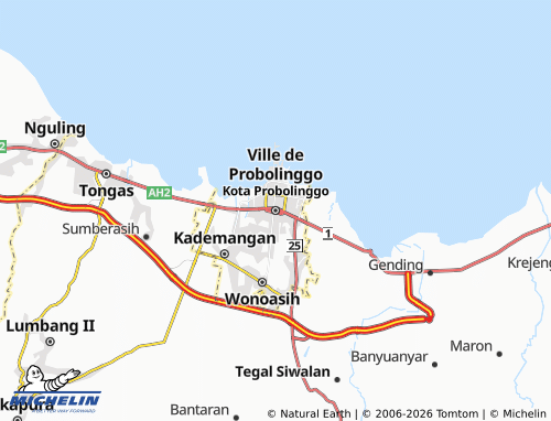 Mapa MICHELIN Ciudad de Probolinggo - ViaMichelin