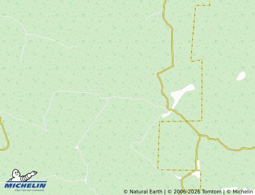 Mapa MICHELIN H. Galeana - ViaMichelin