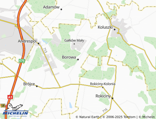 MICHELIN Borowa map - ViaMichelin