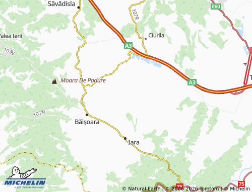 Mappa MICHELIN Agriș - ViaMichelin