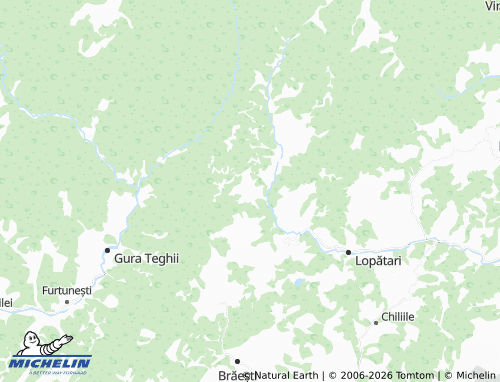 Mapa MICHELIN Ploștina - ViaMichelin