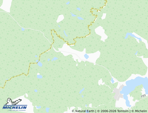 Carte MICHELIN Uritskoye - ViaMichelin