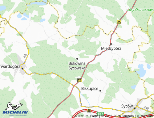 MICHELIN Bukowina Sycowska map - ViaMichelin