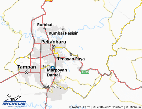 MICHELIN Tenayan Raya map - ViaMichelin