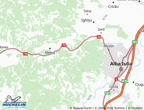 MICHELIN Tăuți map - ViaMichelin