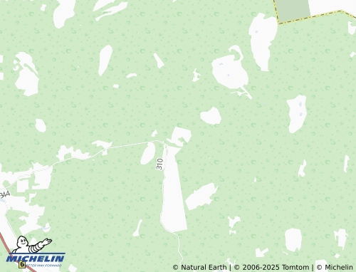 MICHELIN Saunametsa map - ViaMichelin