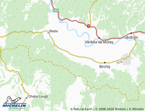 Mappa MICHELIN Bacău De Mijloc - ViaMichelin