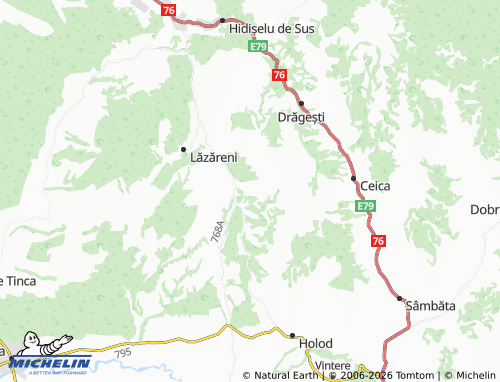 Mapa MICHELIN Bicăcel - ViaMichelin