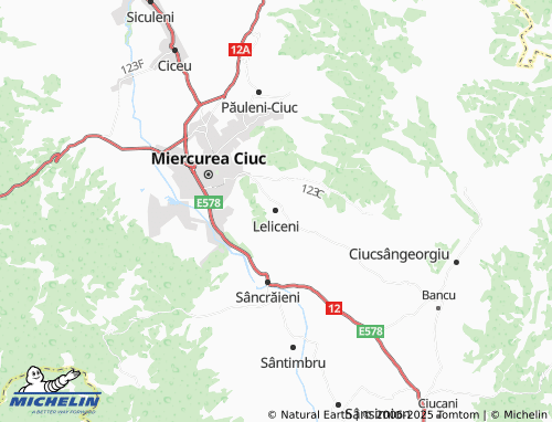 MICHELIN Leliceni map - ViaMichelin