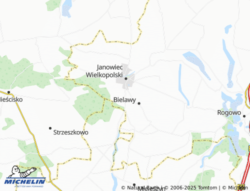 MICHELIN Flantrowo map - ViaMichelin