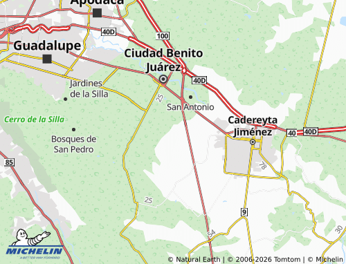 Mappa MICHELIN Fraccionamiento Valle del Roble Sector Maple - ViaMichelin