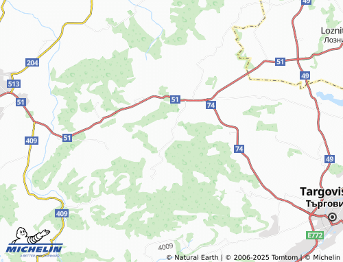 MICHELIN Rosina map - ViaMichelin