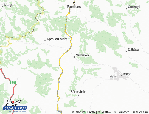 MICHELIN Vultureni map - ViaMichelin