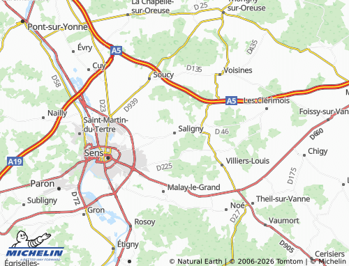 MICHELIN Saligny map - ViaMichelin