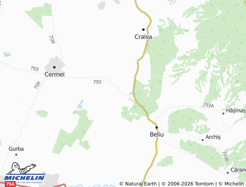 Mapa MICHELIN Vasile Goldiș - ViaMichelin