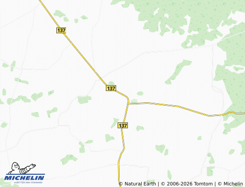 Mappa MICHELIN Bliuviškiai - ViaMichelin