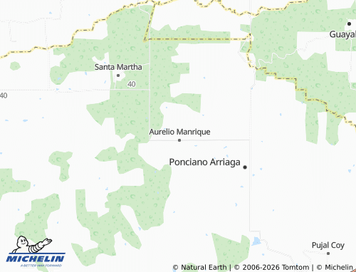 Mappa MICHELIN Nuevo Temalacaco - ViaMichelin
