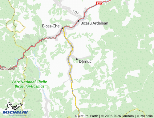 Carte MICHELIN Dămuc - ViaMichelin
