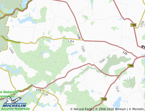 MICHELIN Naugarten map - ViaMichelin