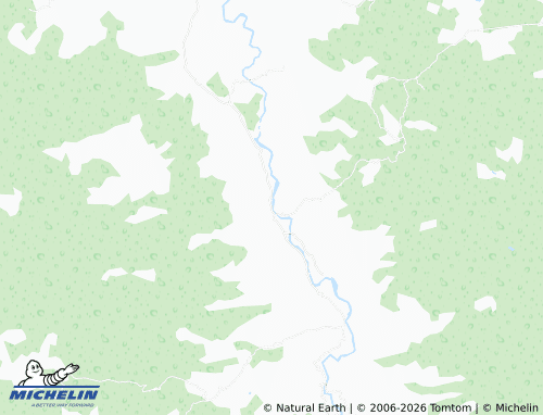 MICHELIN-Landkarte Rincón de Nevárez - ViaMichelin
