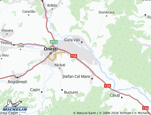 MICHELIN Borzești map - ViaMichelin