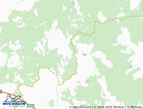 MICHELIN Rutikvere map - ViaMichelin