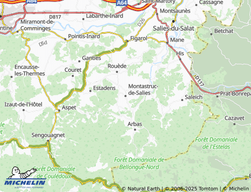 Carte MICHELIN Montastruc-de-Salies - ViaMichelin