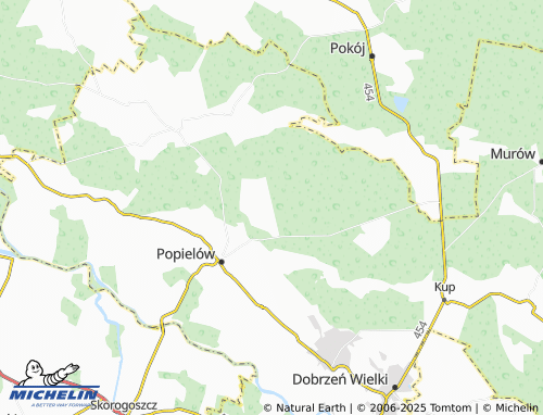 MICHELIN Lubienia map - ViaMichelin