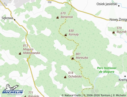 MICHELIN Bartne map - ViaMichelin