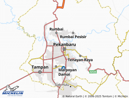 MICHELIN Pekanbaru map - ViaMichelin